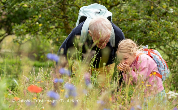 A family exploring the meadow in August at Gibside, Tyne & Wear. A child and an older man are exploring a meadow together. The child is smelling a flower in her hands whilst the older gentleman chats to her. © National Trust Images/Paul Harris