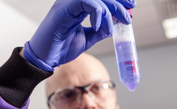 Male holding a test tube in medical sciences lab